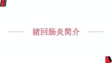 猪回肠炎猪回肠炎简介