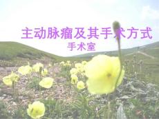 主动脉瘤手术【31页】