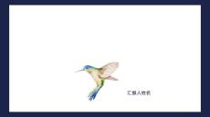 前列腺炎诊治指导