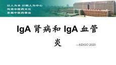 IgA肾病和IgA血管炎【39页】
