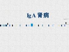 IgA 肾病【52页】