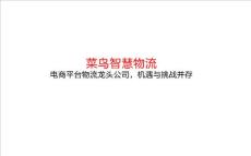 2023年菜鳥智慧物流分析報告：電商平臺物流龍頭公司，機(jī)遇與挑戰(zhàn)并存