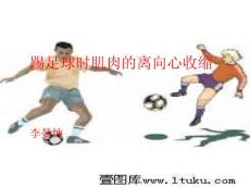 踢足球时肌肉的离向心收缩PPT培训课件