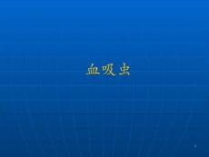 血吸虫及血吸虫病PPT培训课件