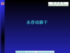 2025年永存动脉干专题知识讲座PPT培训课件