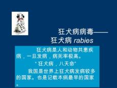 2025年狂犬病病毒狂犬病rabiesPPT培训课件