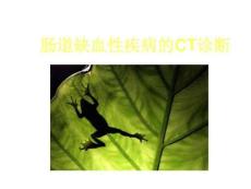 肠道缺血性疾病的CT诊断