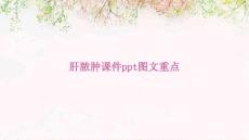 肝脓肿课件图文重点