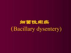 11临-细菌性痢疾
