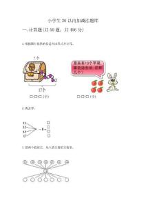 小學(xué)生20以內(nèi)加減法題庫(kù)加答案(培優(yōu)A卷)