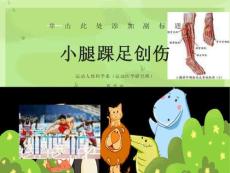 小腿足踝运动-创伤
