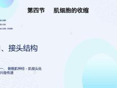 细胞生理学肌肉收缩