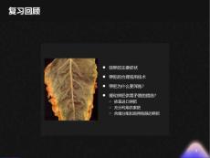 植物的微量元素营养与微量元素肥料