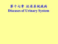 病理学肾小球肾炎与肾盂肾炎