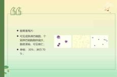 化脓性脑膜脑炎脑脓肿2杨旭