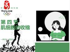 肌肉收缩生理学