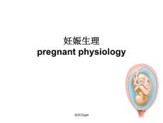 妊娠生理PPT課件