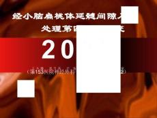 经小脑扁桃体延髓间隙入路