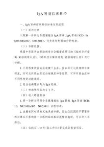 IgA肾病临床路径
