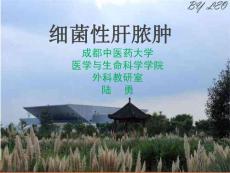 肝脓肿