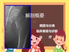 股骨颈骨折-PPT