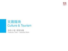 駿地設計文旅項目-特色小鎮