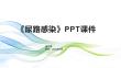 《尿路感染》课件