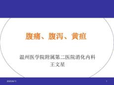 《诊断学》教学课件：大学本科课件-腹痛腹泻黄疸