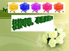 呼吸內(nèi)科專業(yè)簡介課件