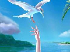 報告之三 備考建議篇_教學(xué)案例設(shè)計_教學(xué)研究_教育專區(qū)