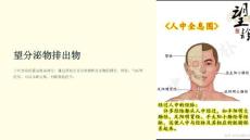 《望分泌物排出物》课件
