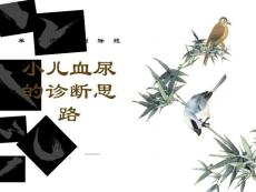 小儿血尿(胡三红)