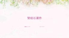 肾结石课件