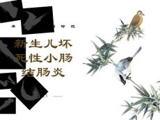 新生儿坏死性小肠结肠炎讲义