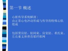 心律不齐症状与防治攻略