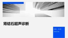 肾结石超声诊断