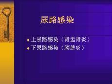 《尿路感染》课件