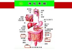 炎症性肠病