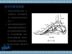 跟骨骨折的护理
