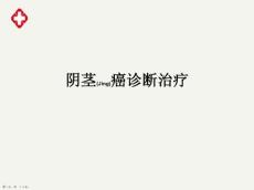 阴茎癌治疗及诊断培训学习ppt