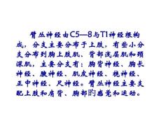 臂丛神经损伤的康复护理
