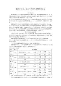 子公司、分公司负责人薪酬管理办法