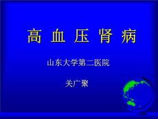 高血压肾病【41页】