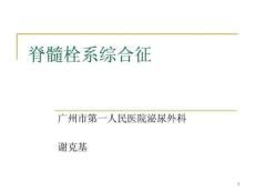 脊髓栓系综合征【26页】