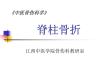 脊柱骨折【43页】