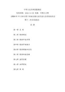 中華人民共和國能源法