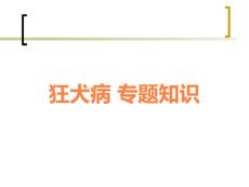 狂犬病-课件