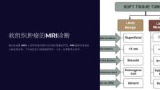 《软组织肿瘤的MR》课件