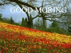 植物組織培養實驗室的構建-2