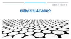 尿道结石形成机制研究-剖析洞察